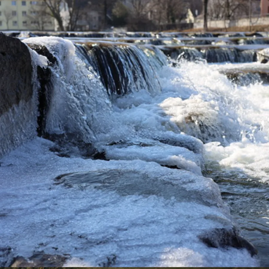 Eisbaden in der Sihl